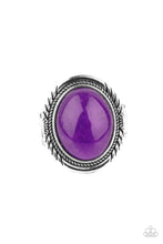 Load image into Gallery viewer, Stone Terrarium - Purple Ring
